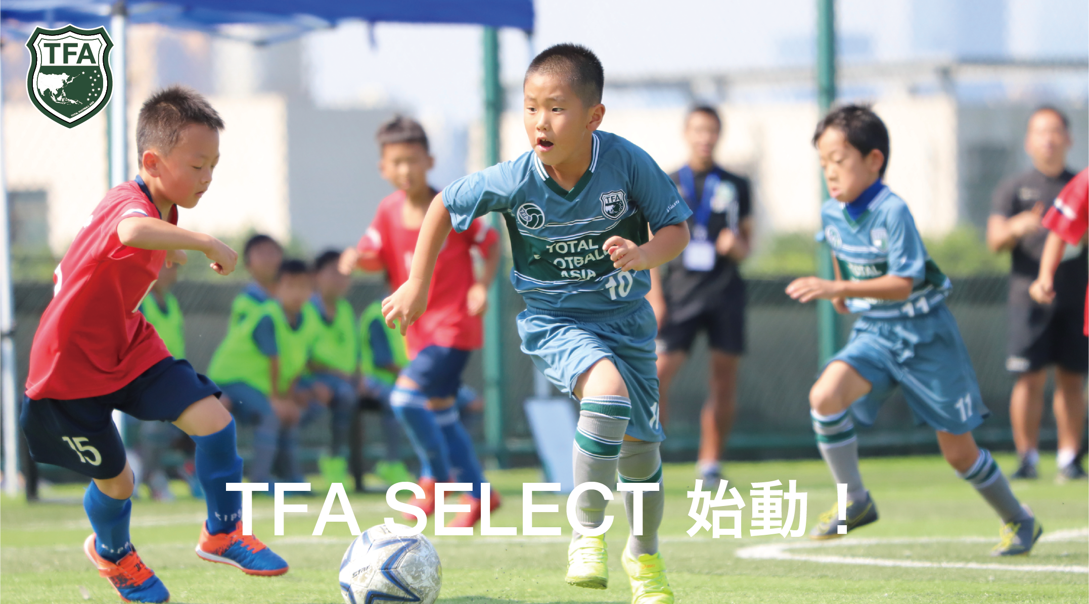 【SELECT】TFA SELECT 2023年前期成员发表！